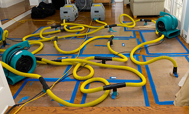 Professional Storm Water Damage Restoration technician working in Burton, OH